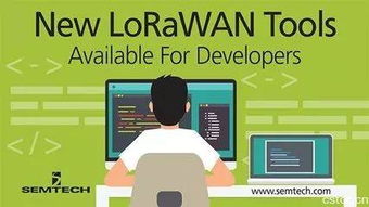 NB-IoT与LoRa 应用软件开发视角下的部署关系