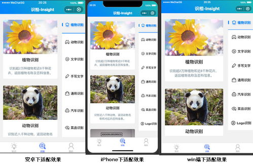 识相Insight AI图像识别微信小程序产品文档
